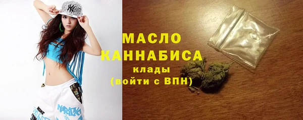 соль ск Дмитров