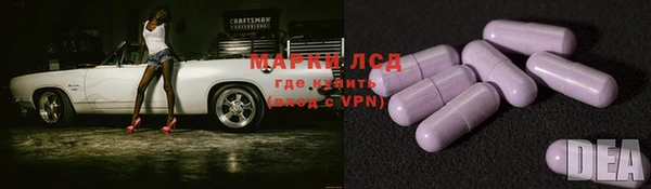 соль ск Дмитров