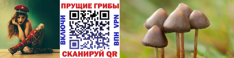 цена наркотик  Еманжелинск  МЕГА как зайти  Псилоцибиновые грибы Psilocybine cubensis 